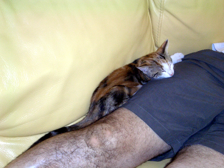 Caramel 08-04 008.jpg